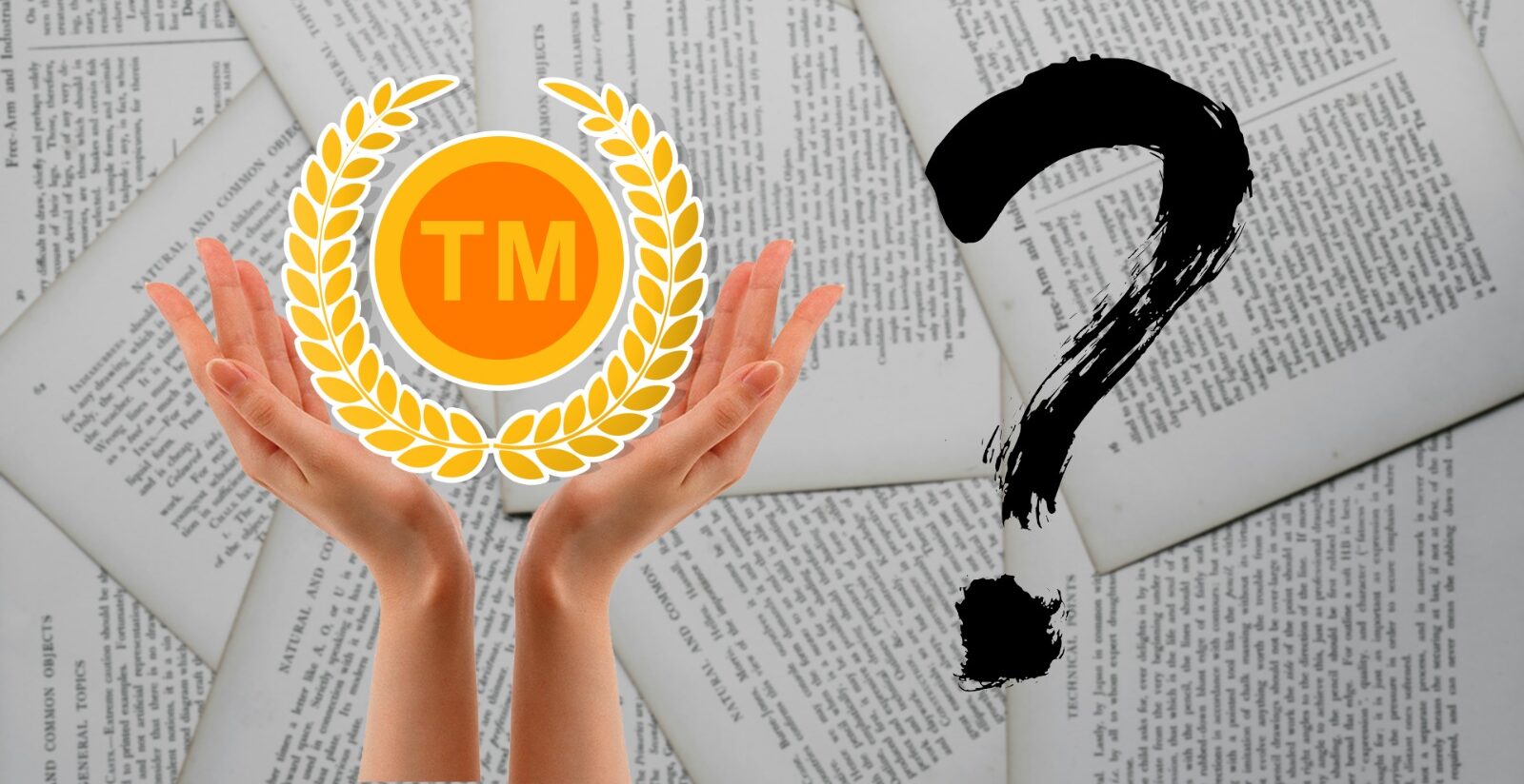Trademark Objection Reply Service